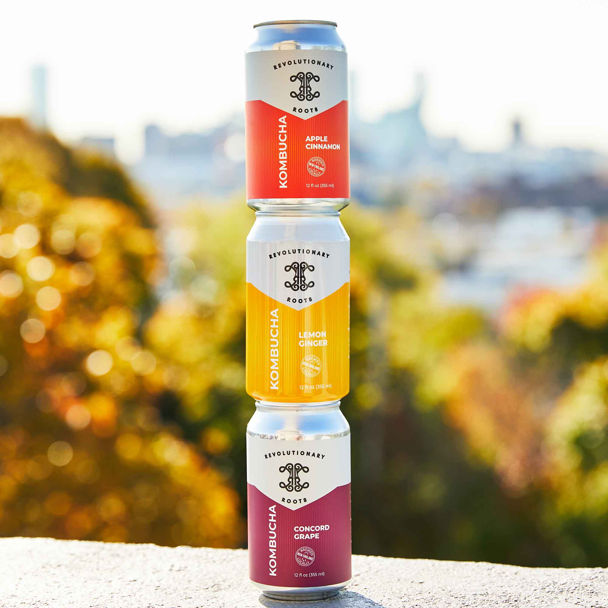 20200411_RevRootsKombucha-19